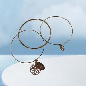 Bundle of Golden Bangles 